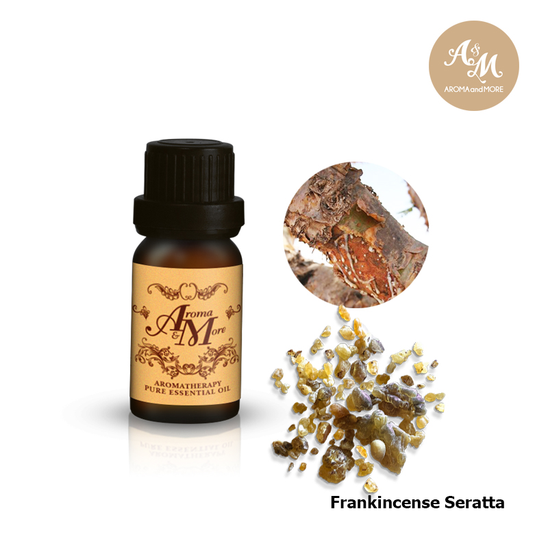 Aroma&More Frankincense Sacra 100% Pure Essential oil Oman 5/10/30/100ML ราคา 2,989 บาท*ส่งฟรี