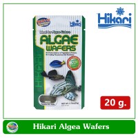 Hikari Algae Wafer อาหารปลาสวยงาม ปลากินพืช กินตะไคร่ ปลาแพะ ปลาหมู ขนาด 20 กรัม