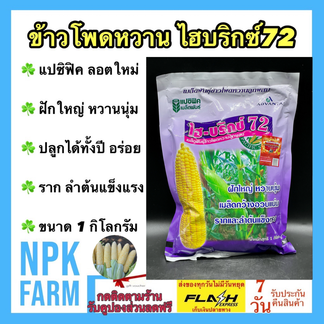 Sweet Corn Hybrix 72, Expiration Date 15/03/2569, Size 1 Kilogram, Pacific Corn, New Batch, Large Cobs, Sweet, Soft, Wide Kernels, Plump, Firm Roots and Strong Stems. ราคา 1,259 บาท*ส่งฟรี