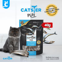 Catster ขนมแมว ขนมฟรีซดราย ขนมและท็อปปิ้งฟรีซดาย Cat Treat CleverPet
