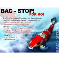 BAC - Stop For Koi 100 ml. สำหรับปลาคาร์ฟ ปลาทอง