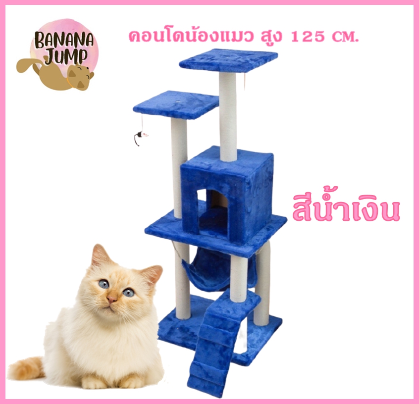 BJ Pet - คอนโดแมว สูง 125 ซม.