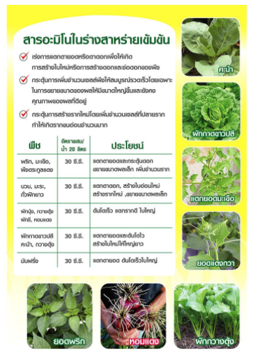 โชปาร์ 1000ซีซี-4