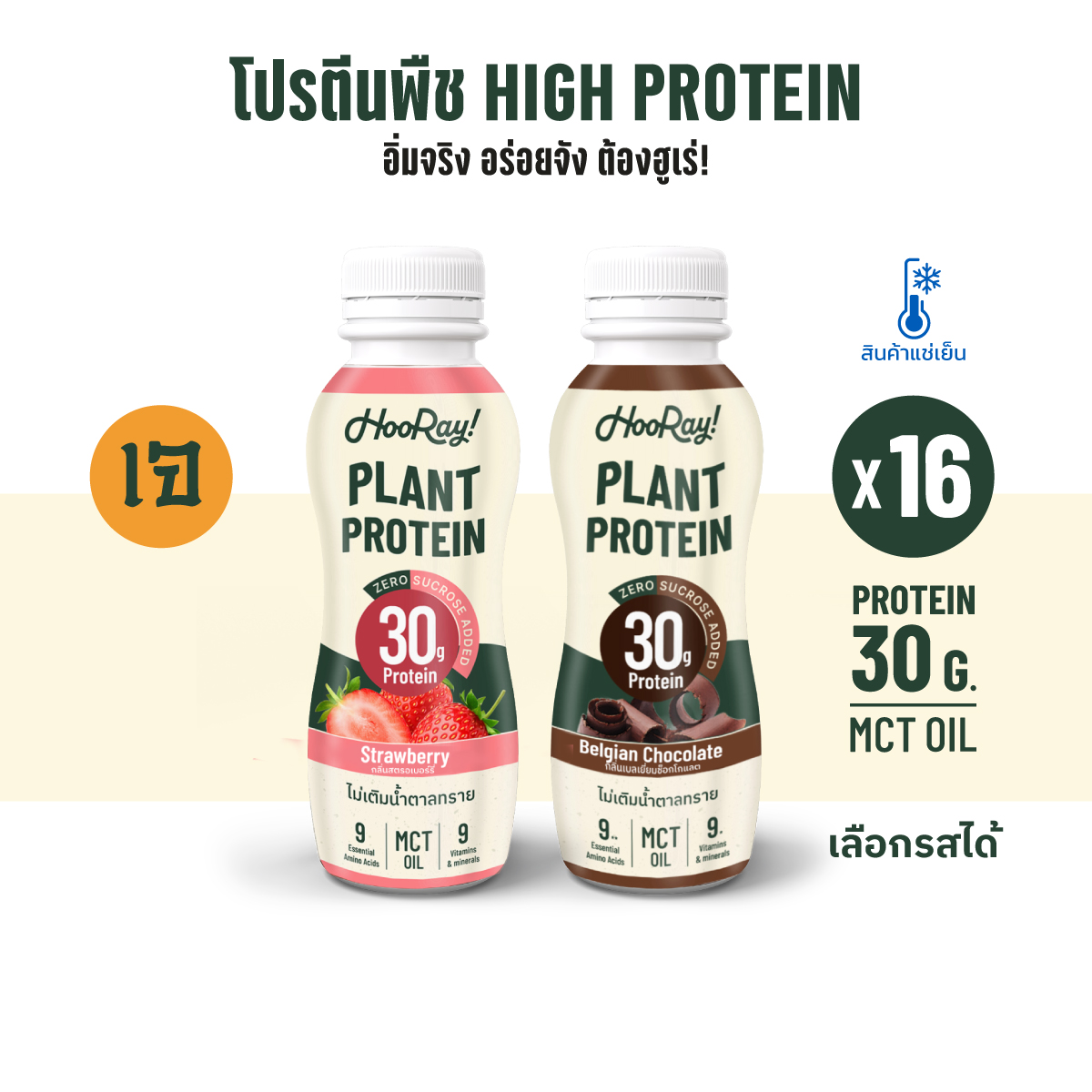 Hooray! Complete Plant Protein นมโปรตีนพืชพร้อมดื่ม Pack 16 ขวด รอบส่งวันที่ 9-11 BBF23/10/2024 ต้องแช่เย็นตลอดเวลา ราคา 760 บาท*ส่งฟรี