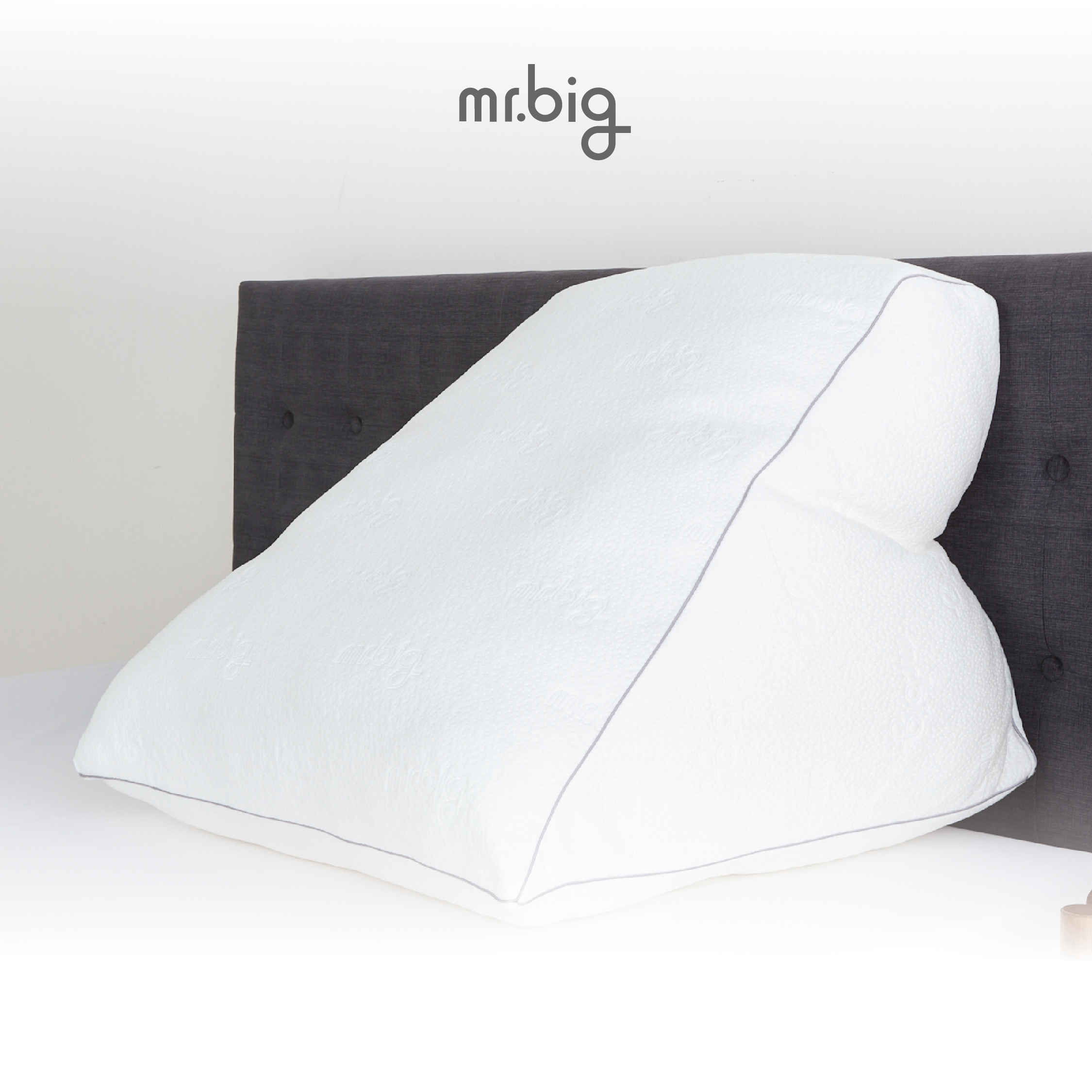 mr.big GERD Pillow หมอน Ergonomic สำหรับผู้ป่วยกรดไหลย้อน ปรับระดับได้ พร้อมปลอกถอดซักได้ ราคา 5,355 บาท*ส่งฟรี