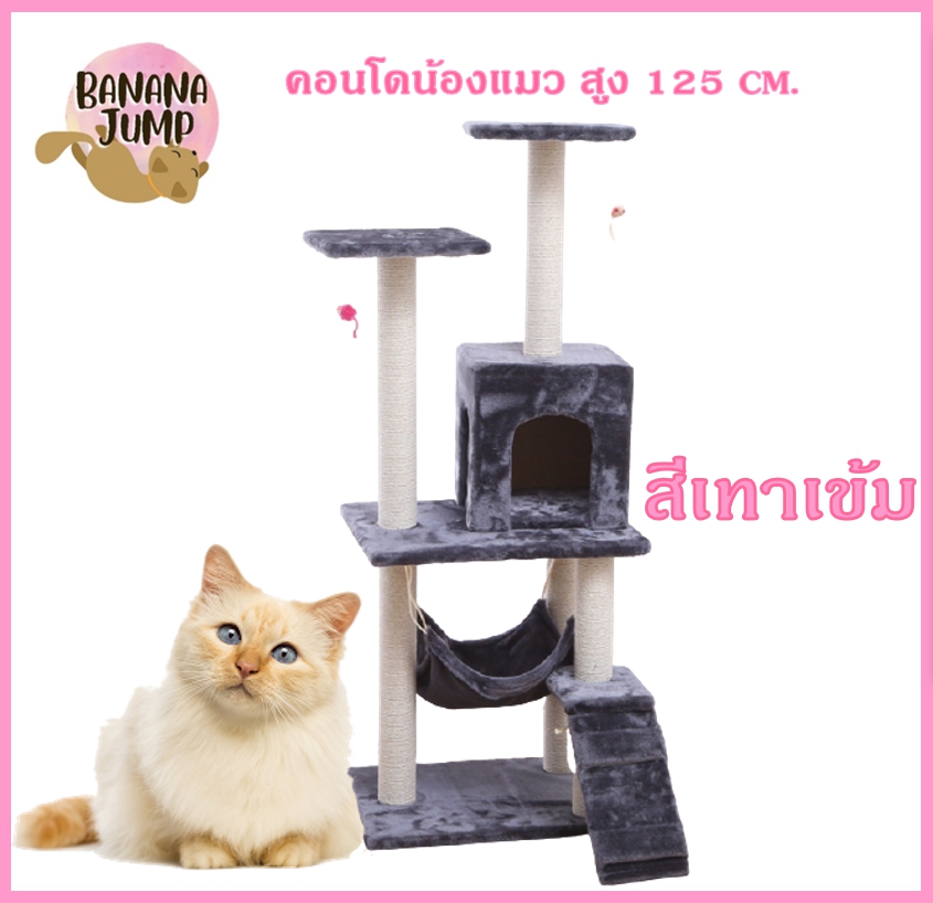 BJ Pet - คอนโดแมว สูง 125 ซม.