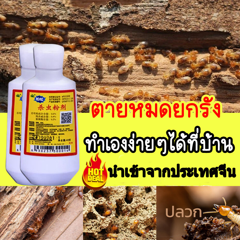 ยากำจัดเชื้อราเบียด ราคาถูก ซื้อออนไลน์ที่ - ก.ย. 2024 | Lazada.co.th