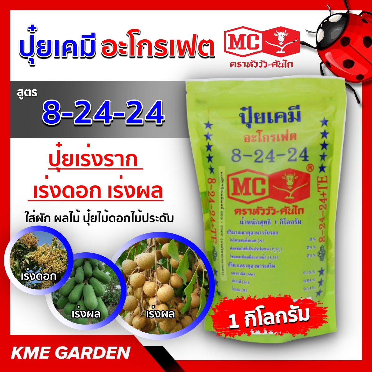 มะกอก-0