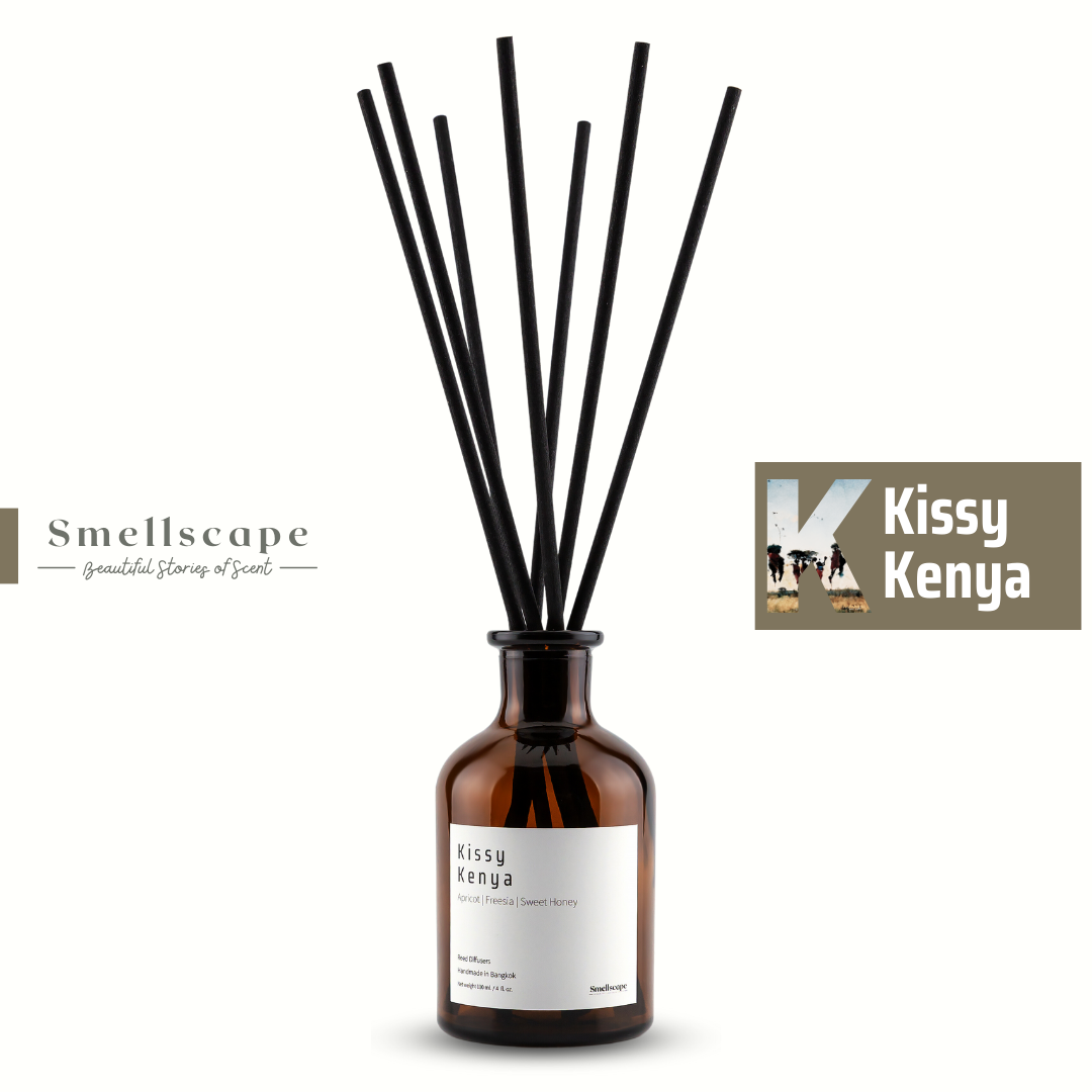 Frost Reed Diffuser - Spell On You – Kirona Scent