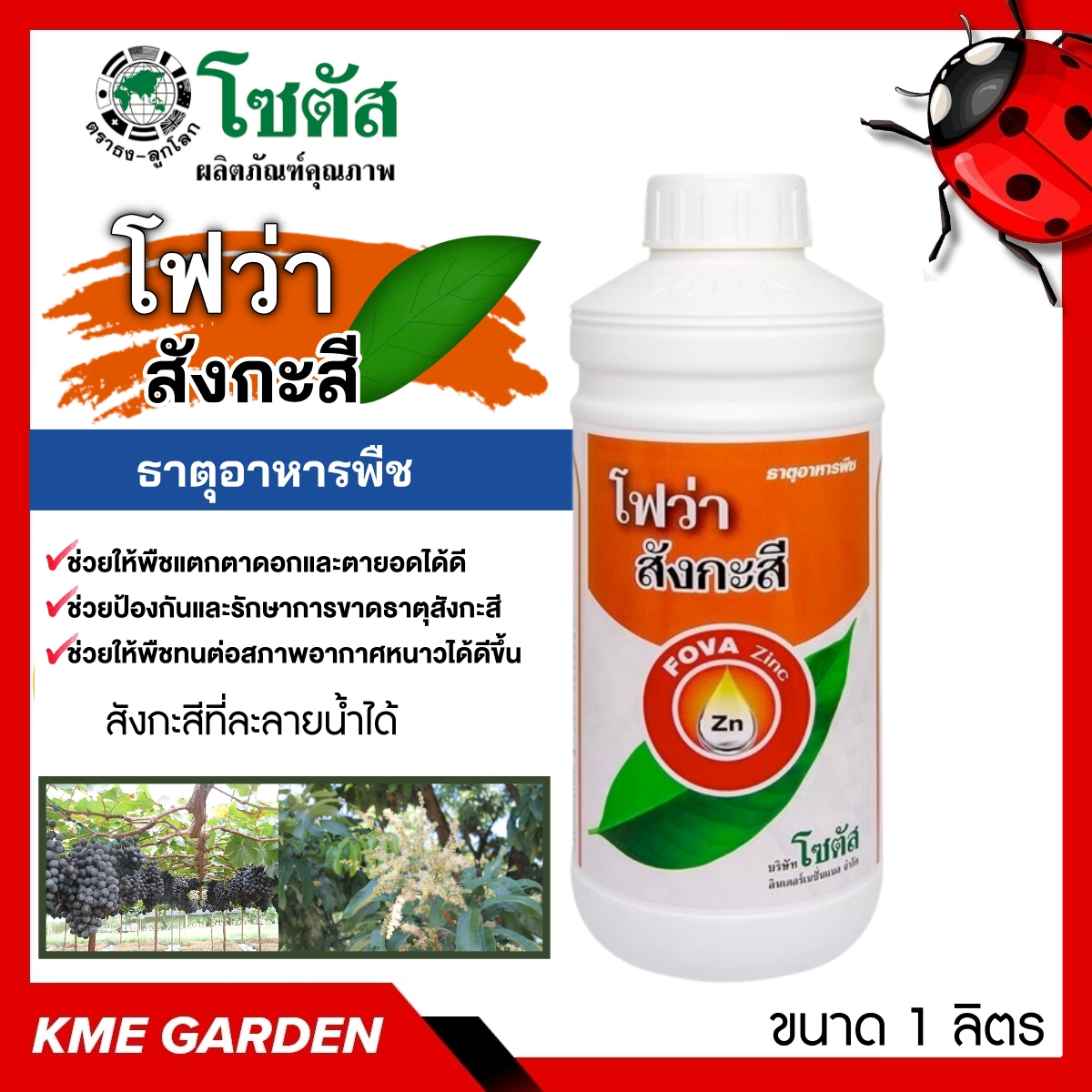 🍄อาหารเสริม🍄 โฟว่า สังกะสี ขนาด 1 ลิตร ป้องกันการขาดธาตุสังกะสีที่ทำให้เกิดอาการใบแก้ว ใบลาย ในพืชตระกูลส้ม พืชแตกตาดอกและตายอดดี