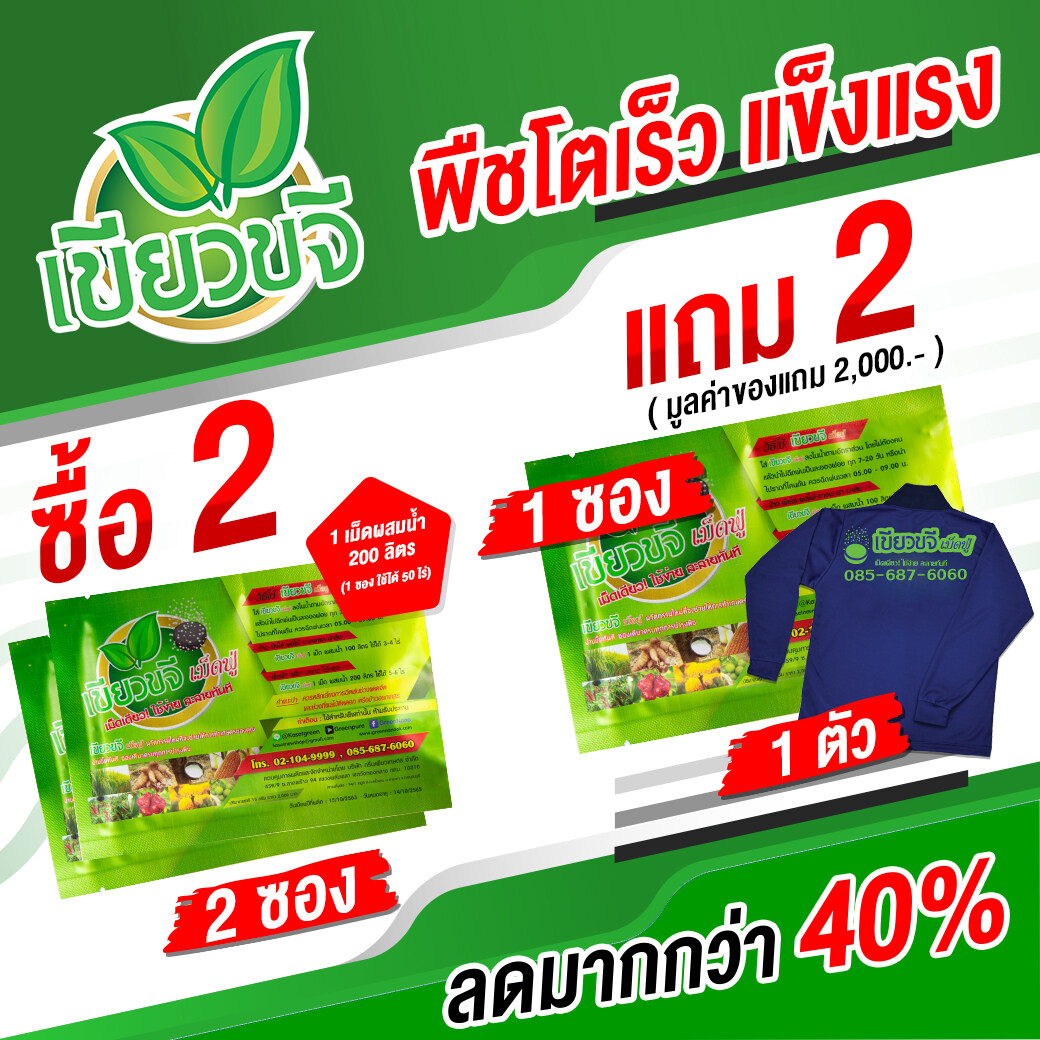 ิbuy2 get get 2 verdant tablets effervescent tablets single use easy soluble instant plant care green plover sensitivity have weight, add agricultural Yield make with all plants anti-disease pure ราคา 2,487 บาท*ส่งฟรี