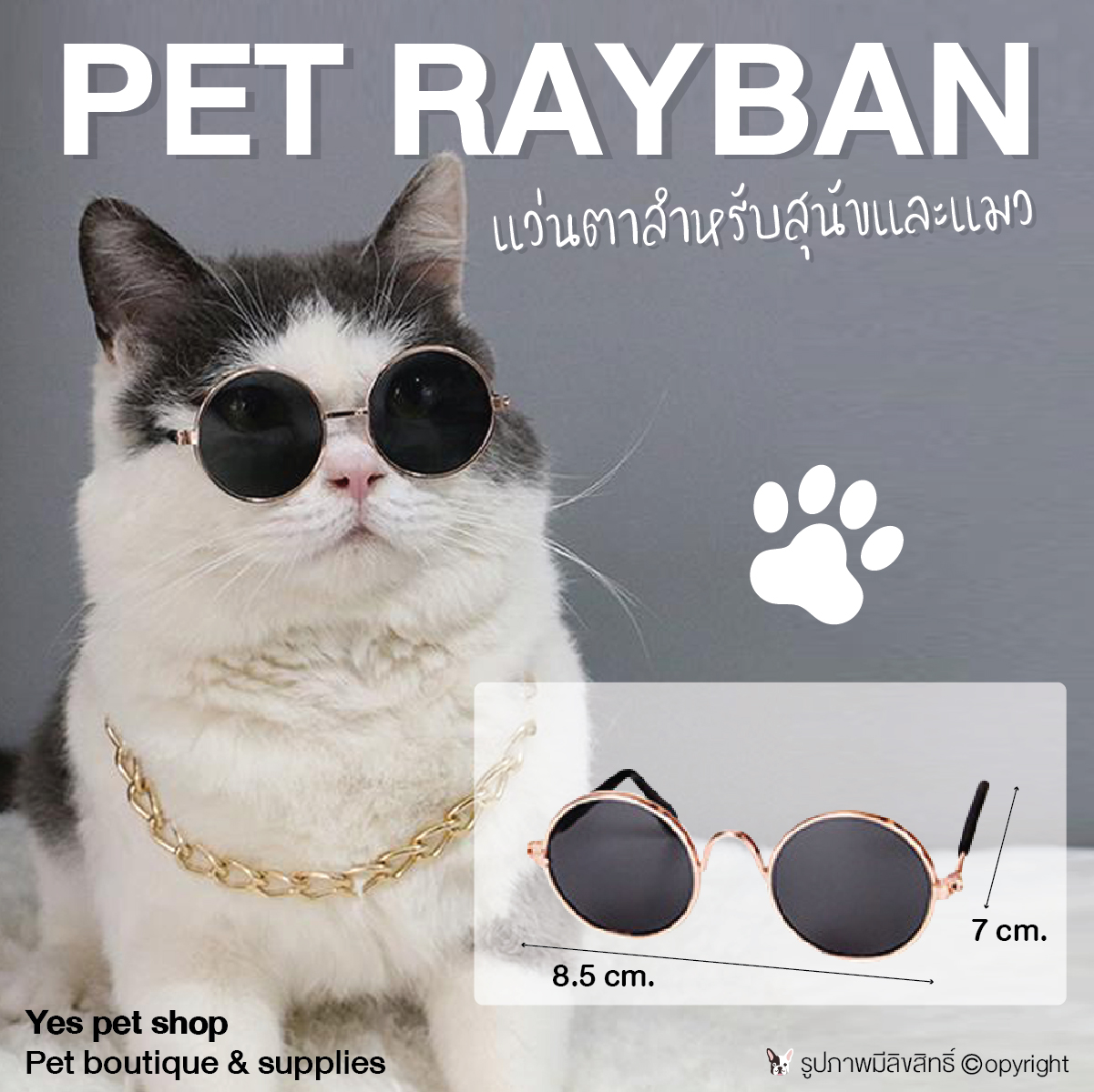 แว่นตาแมว แว่นตาสุนัขพันธุ์เล็ก แว่นตาสัตว์เล็ก Pet แว่นตาสัตว์เลี้ยง สีดำ โดย Yes Pet Shop