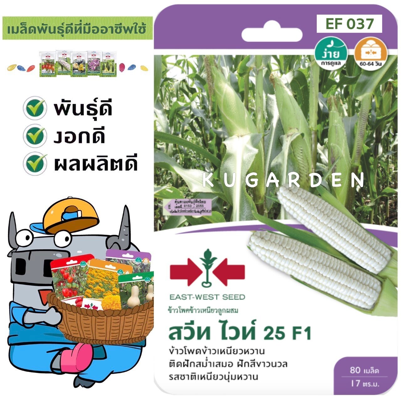 SORNDAENG 🇹🇭 ผักซอง ศรแดง S037# ข้าวโพดข้าวเหนียว สวีทไวท์ 25  F1 เมล็ดพันธุ์ ข้าวโพด เมล็ดพันธุ์ลูกผสม เมล็ดพันธุ์ผัก ผักสวนครัว ผักศรแดง
