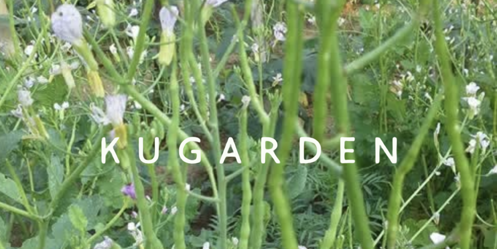 น้ำเงินเข้ม-2