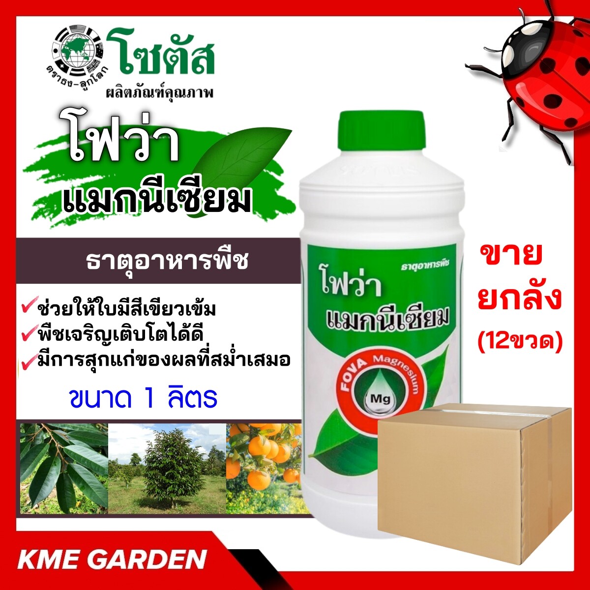 ****ขายยกลัง**** 🍄อาหารเสริม🍄 โฟว่า แมกนีเซียม ขนาด 1 ลิตร บรรจุ 12 ขวด ใบเขียวเข้ม พืชสร้างอาหารได้ดี พืชเจริญเติบโตได้ดี