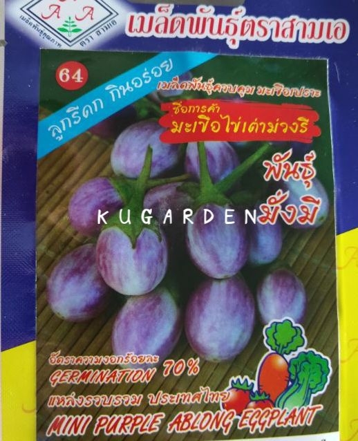 สีม่วง Violet-1