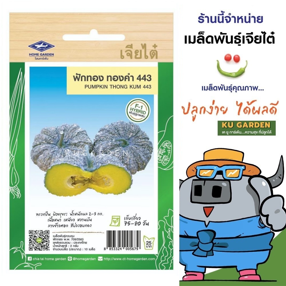 CHIATAI 🇹🇭 ผักซอง เจียไต๋ F050 ฟักทอง ทองคำ433 F1  จำนวนประมาณ 10เมล็ด เมล็ดพันธุ์ผัก เมล็ดผัก เมล็ดพืช ผักสวนครัว