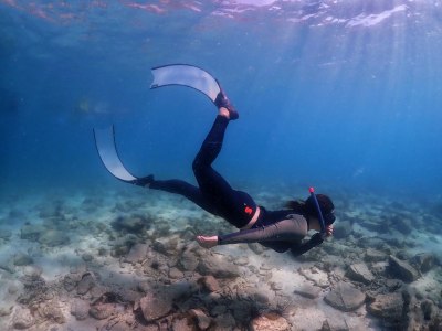 Leaderfins ฟินฟรีไดฟ์ รุ่น ICE ผลิตจาก Fiberglass คุณภาพสูง Made in EU Leaderfins ฟินฟรีไดฟ์ รุ่น ICE ผลิตจาก Fiberglass คุณภาพสูง Made in EU