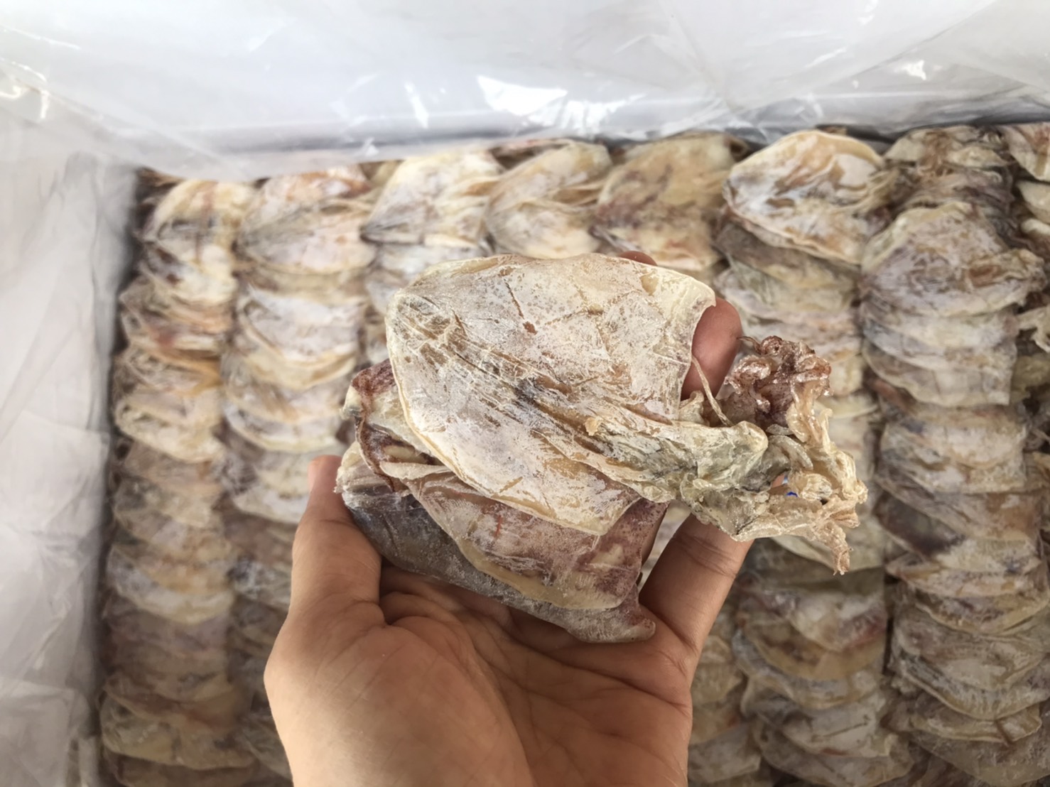 หมึกผ่า A6 เนื้อหวาน ตัวสวย ไม่เค็ม นน 500 กรัม ราคาพิเศษ #แม่แขทะเลแห้ง /จัดส่ง A6 ครึ่งโล/ ราคา 370 บาท*ส่งฟรี