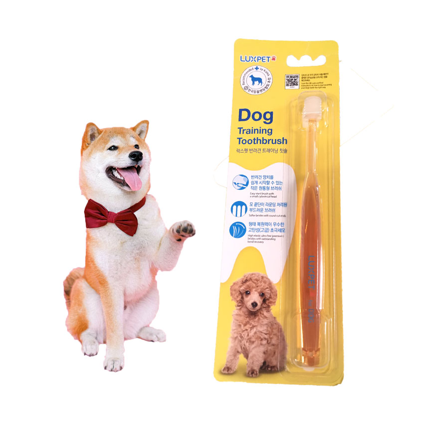 แปรงสีฟันสุนัข  Dog Training Toothbrush