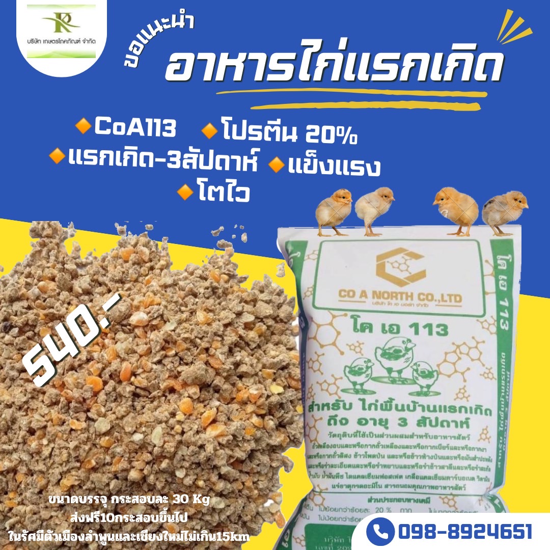 อาหารไก่แรกเกิด ไก่แรกเกิด อาหารไก่พื้นเมือง113 อาหารไก่ อาหารไก่เล็ก ไก่ ไก่เล็ก ไก่แจ้ ราคา 18 บาท*ส่งฟรี