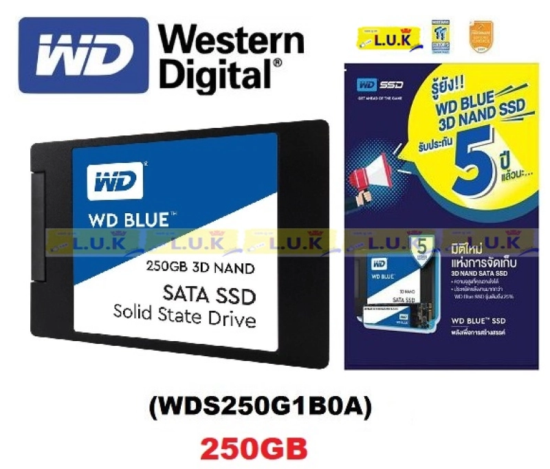 ภาพหน้าปกสินค้า250GB SSD (เอสเอสดี) WD BLUE 3D NAND SATA 550MB/525MB 2.5 Inch (WDS250G1B0A) - รับประกัน Synnex 5 Years