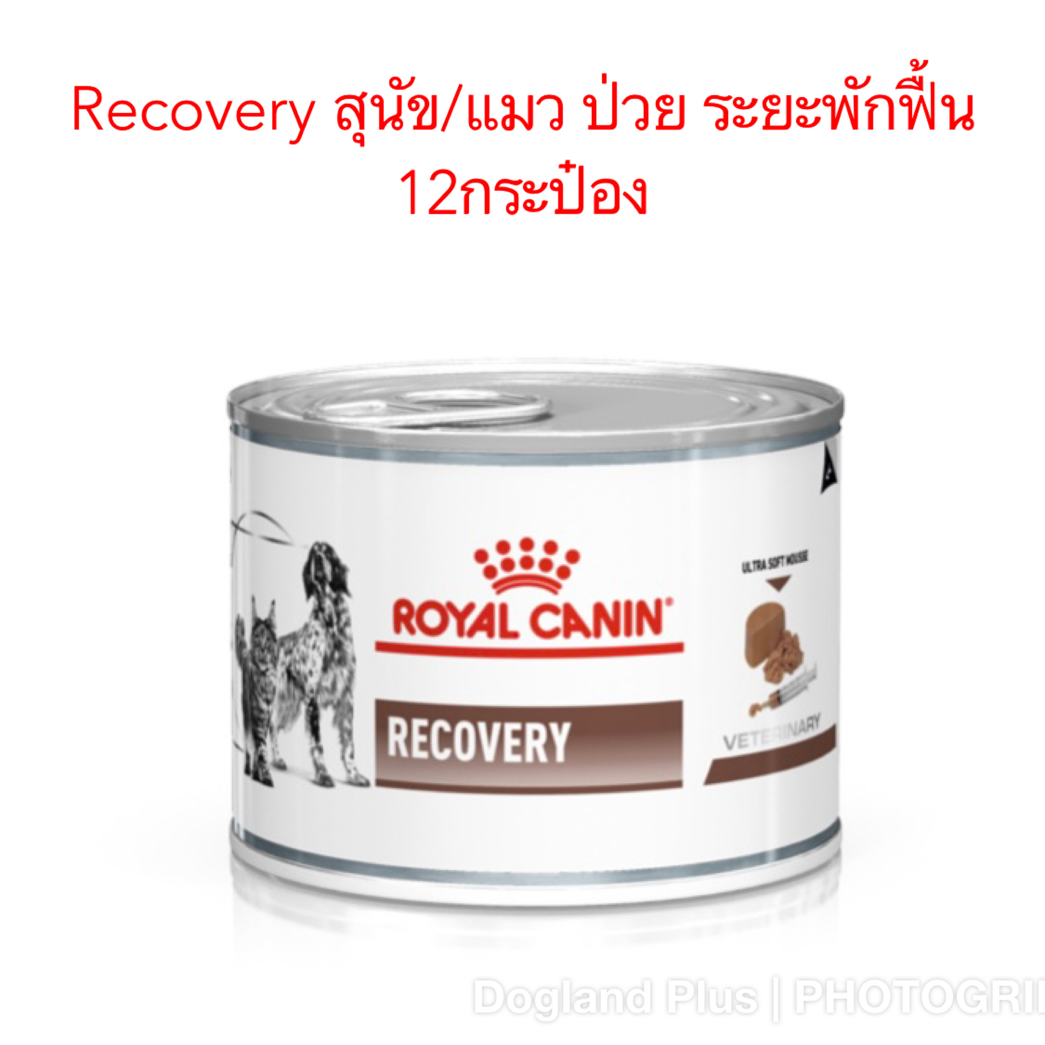 Royal Canin Recovery อาหารสัตว์ป่วย พักฟื้น สุนัข/แมว กระป๋อง 195 กรัมX12 กระป๋อง