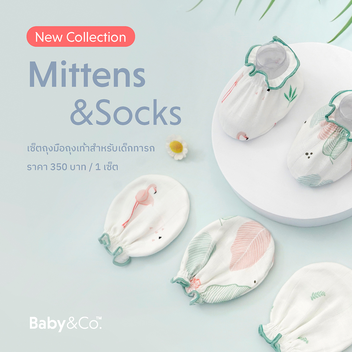 Baby & Co. (New Collection) Mittens and Socks เซตถุงมือ-ถุงเท้า บรรจุ 1 คู่/ชุดที่1 ราคา 380 บาท*ส่งฟรี