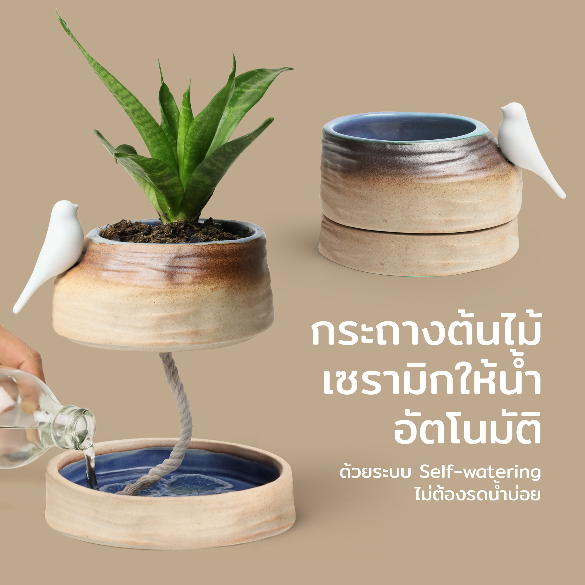 Deskscape Plant Pot กระถางต้นไม้เซรามิก ดีไซน์ นกน้อย Qualy (ควอลี่) ราคา 1,080 บาท*ส่งฟรี