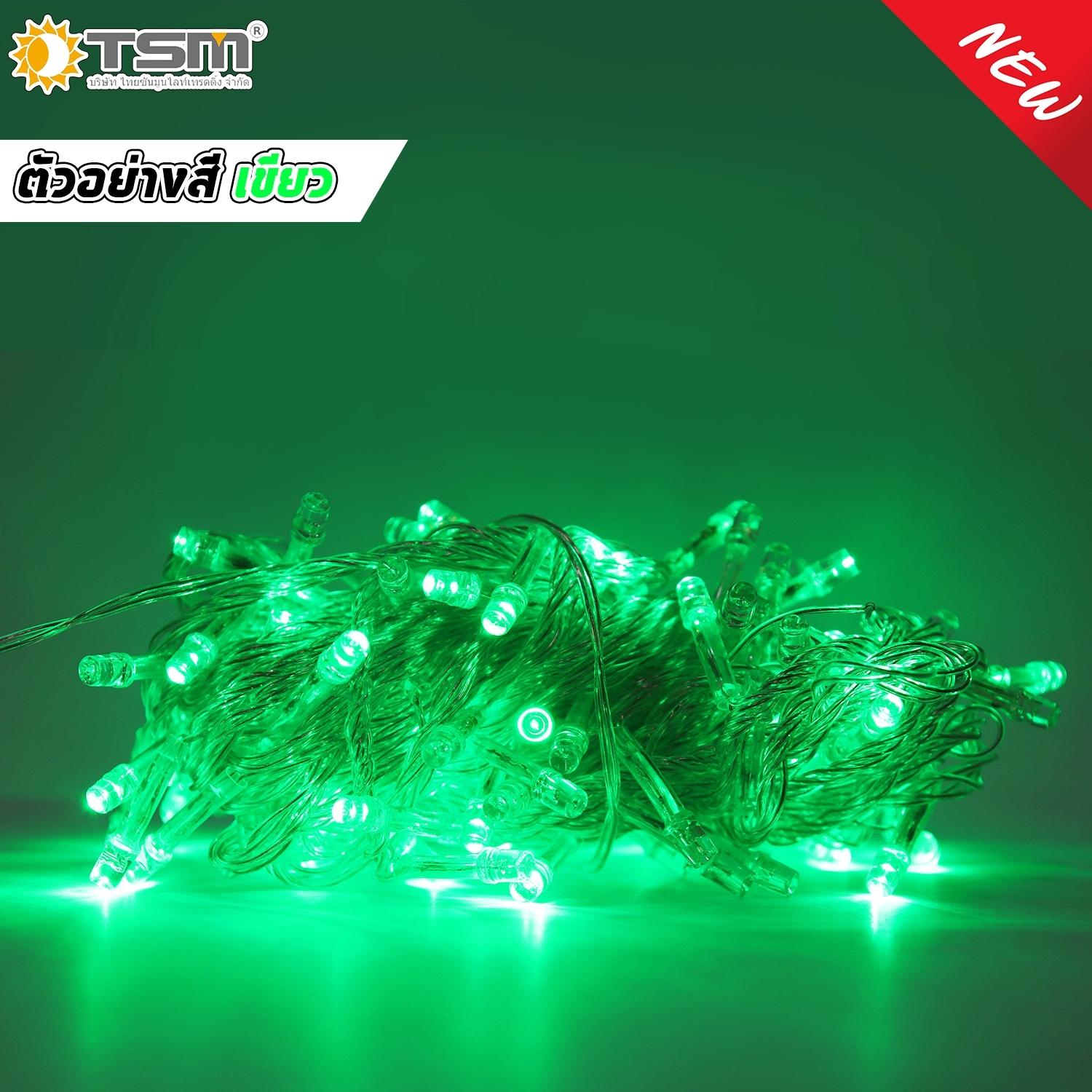 ไฟกระพริบ หลอด LED 100 ดวง ยาว 8 เมตร ปรับได้ 8 ระดับ ไฟแช่ไม่กระพริบ ไฟปีใหม่ ไฟคริสมาสต์ ไฟตกแต่ง ไฟเทศกาล