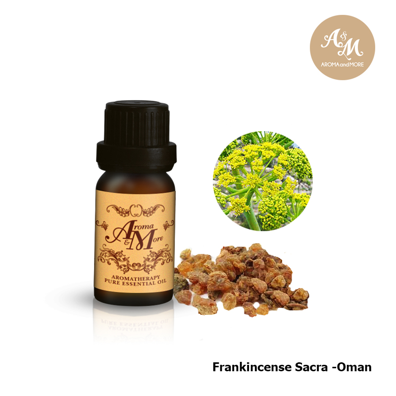 Aroma&More Galbanum Essential oil 100% Turkey 5/10/30/100ML ราคา 2,889 บาท*ส่งฟรี