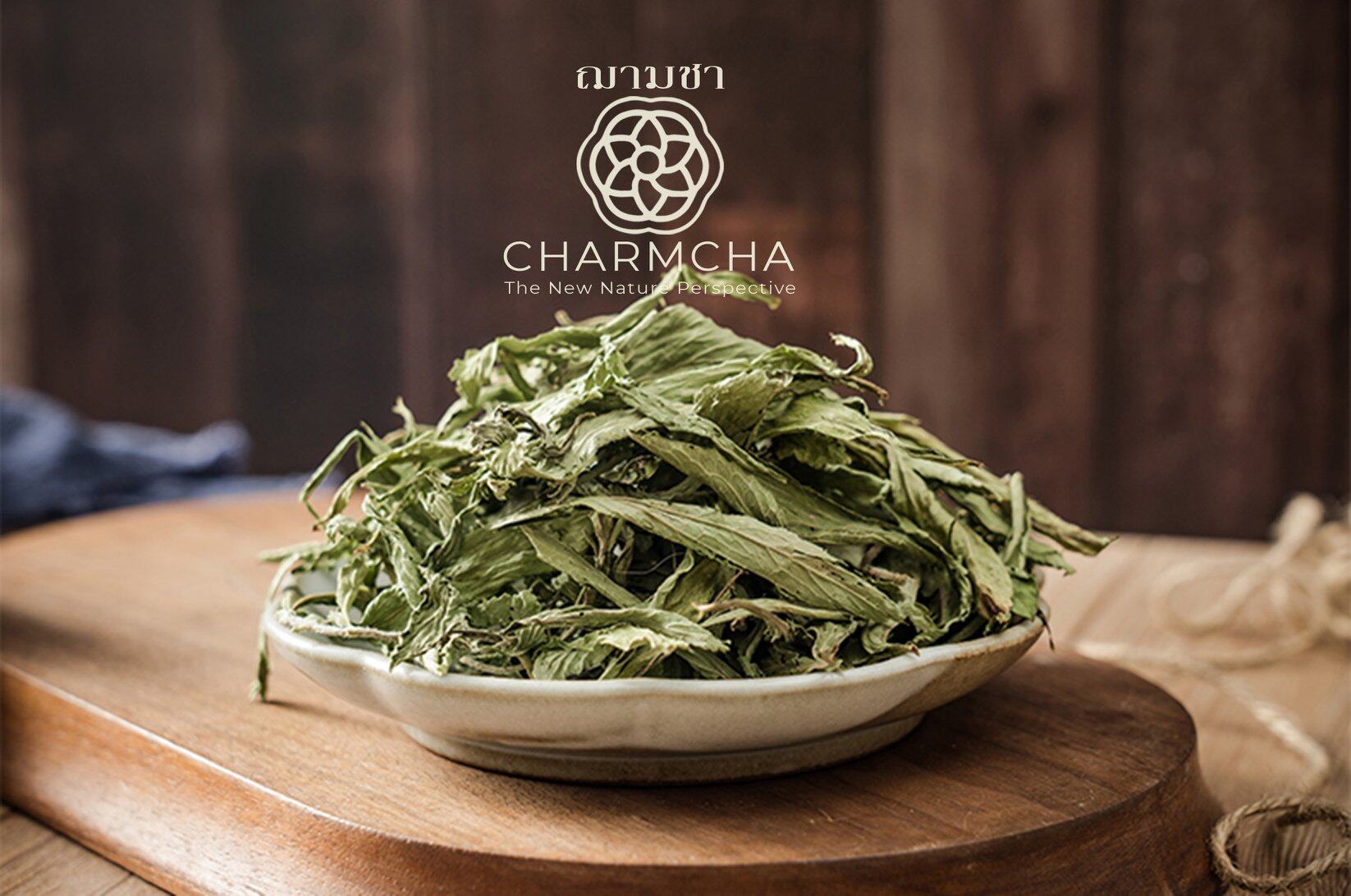หญ้าหวาน (Stevia) ให้ความหวานแทนน้ำตาล บำรุงตับ ลดระดับน้ำตาลในเส้นเลือด ชาดอกไม้ Charmcha ฌามชา