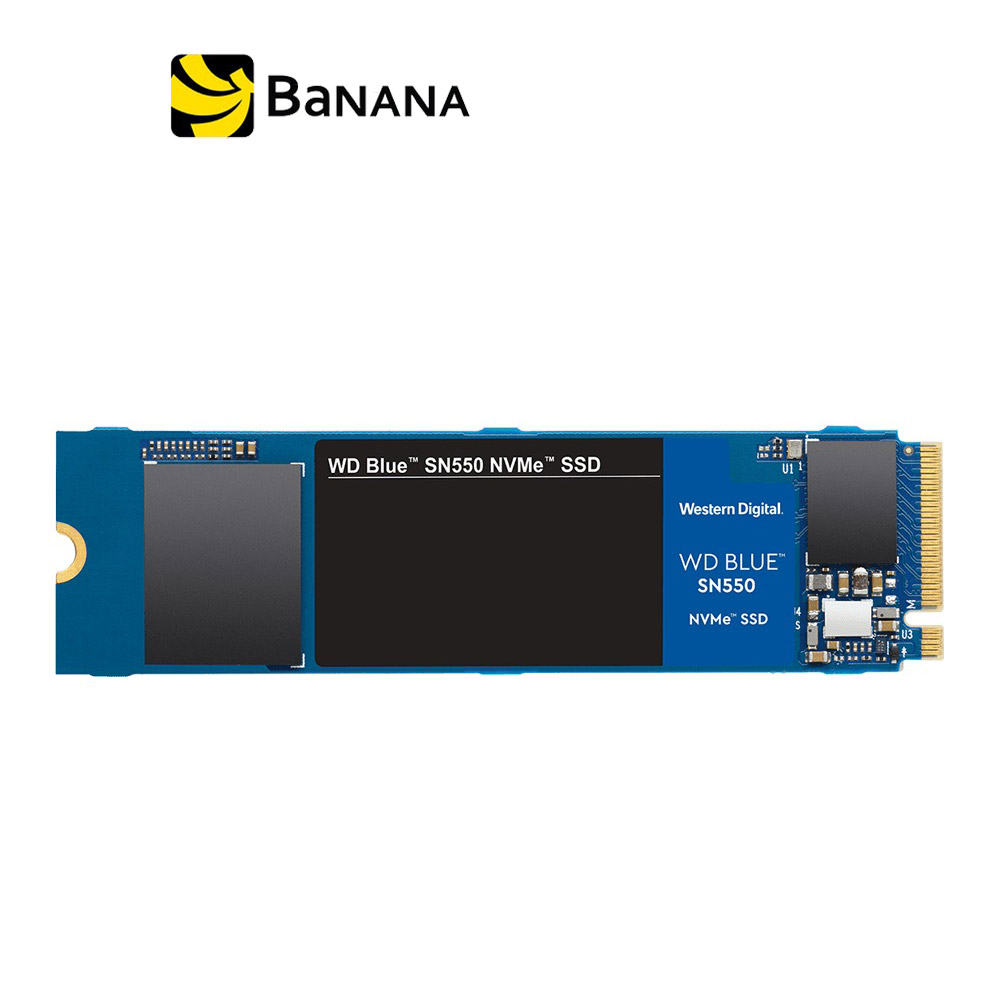 [เอสเอสดี] WD SSD 250GB M.2 PCLE/NVME R2400MB/S W950MB/S BLUE 5YEAR (SN550 NVME) by Banana IT