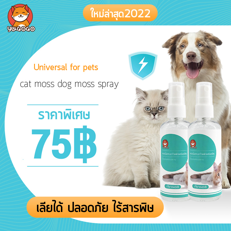 YUGOGO สเปรย์ สมุนไพร ขี้เรื้อน เชื้อรา ยีสต์ สุนัข/เเมว ผื่นแดง คัน กลิ่นสาบ，สเปรย์ขี้เรื้อน (ใช้ดี)pet ราคา 75 บาท*ส่งฟรี