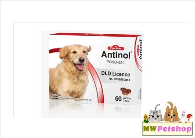 Antinol DOG 60 caps อาหารเสริม บำรุงข้อสุนัข ข้ออักเสบ 60 เม็ด EXP2023