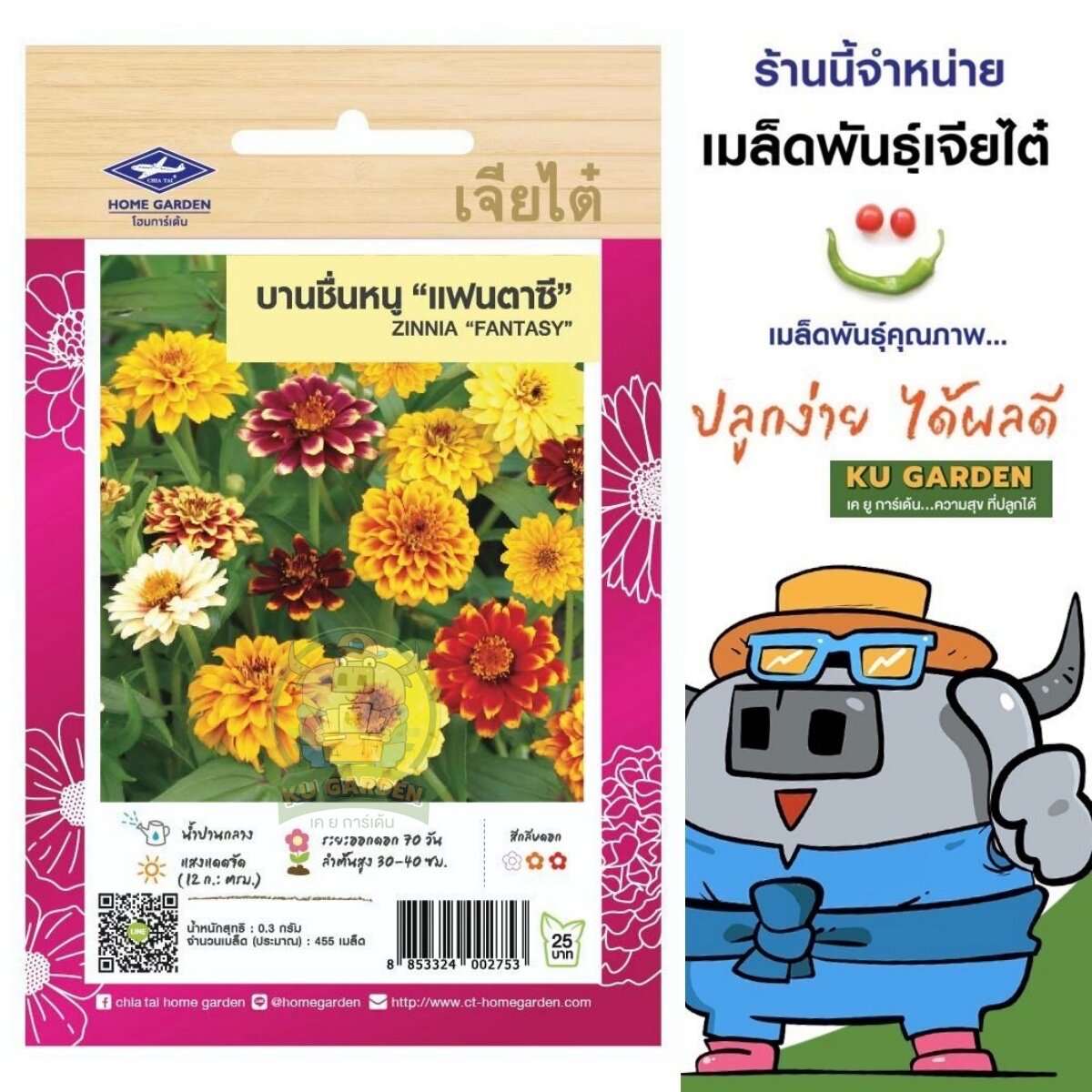 CHIATAI 🇹🇭 ดอกไม้ เจียไต๋ H017#บานชื่น "แฟนตาซี"  ดอกไม้ซอง ผักซอง เมล็ดพันธุ์ เมล็ดพันธุ์ผัก เมล็ดพันธุ์ดอกไม้ ดอกไม้เจียไต๋ ตราเครื่องบิน