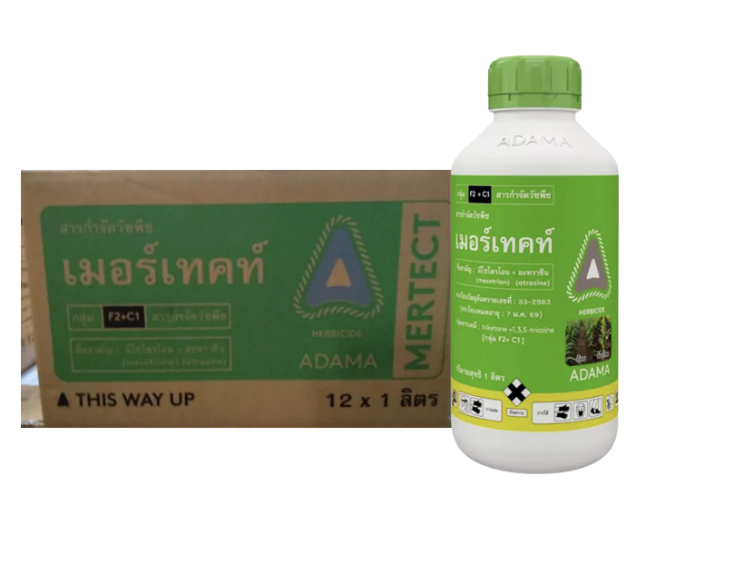 ขายยกลัง-5