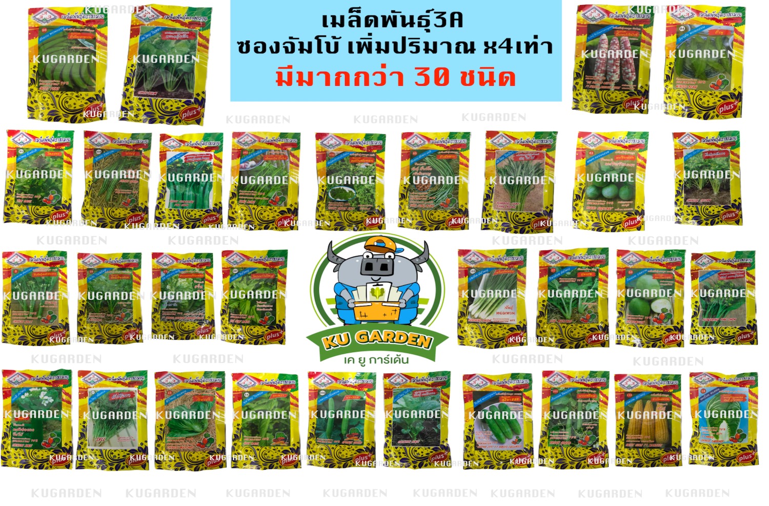 AAA 🇹🇭 รวมผักสามเอ ผักซอง จัมโบ้ สามเอ 30กว่าชนิด *คละชนิดได้ เพียงกดเพิ่มชนิดลงรถเข็น* กะเพรา พริก ผักชี คะน้า ข้าวโพด กวางตุ้ง