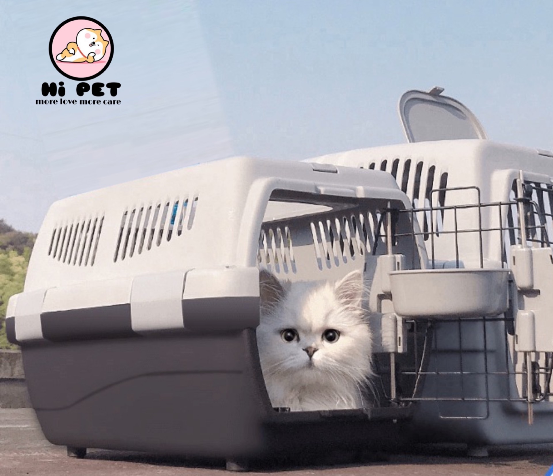 ? Hi Pets House? Pet airplane box กรงเดินทาง กล่องเครื่องบินสัตว์เลี้ยง กล่องเดินทางสำหรับสัตว์เลี้ยง กล่องใส่สุนัข boxใส่สุนัข กล่องใส่แมว boxใ