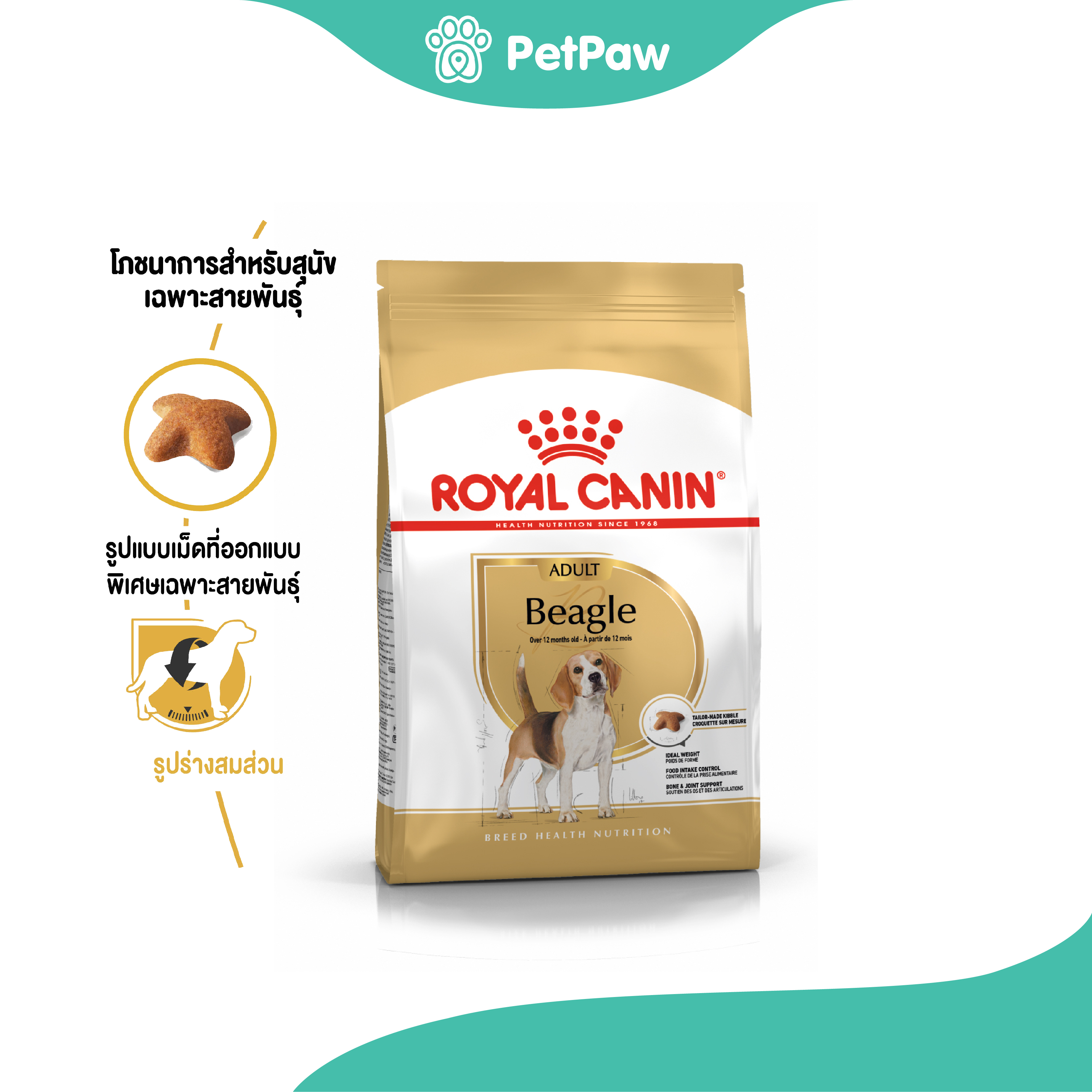 Royal Canin BEAGLE ADULT สุนัขโตพันธุ์บีเกิ้ล 3 kg ราคา 966 บาท*ส่งฟรี
