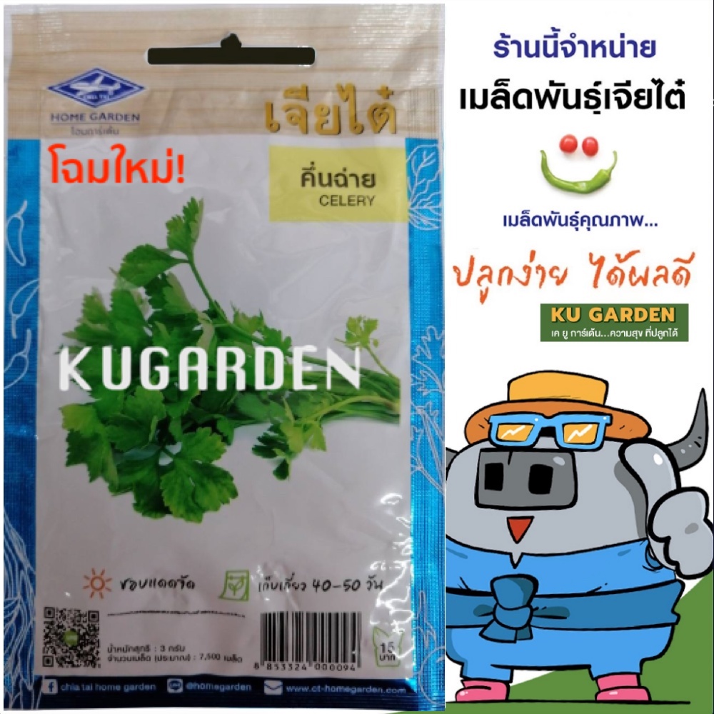 CHIATAI 🇹🇭 ผักซอง เจียไต๋ คึ่นฉ่าย #CT028 ประมาณ 7,500 เมล็ด เมล็ดพันธุ์ผัก ขึ้นฉ่าย เมล็ดผัก เมล็ดพืช ผักสวนครัว