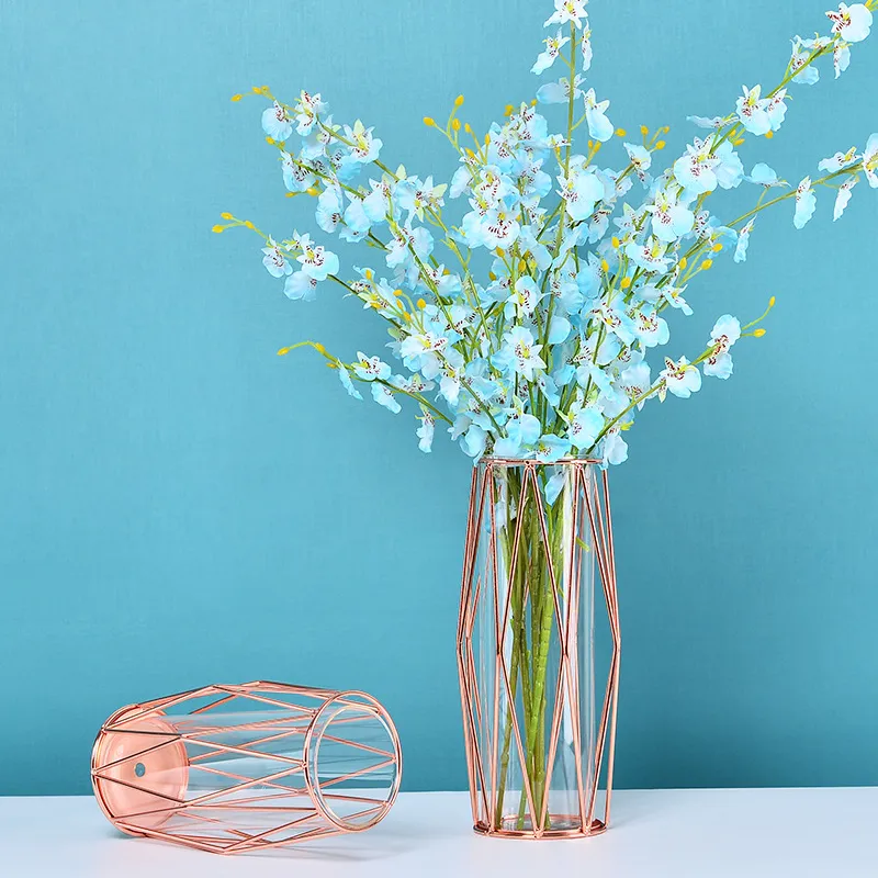 แจกัน เบแร็กนา Test Tube Vase Planter, Shaped Metal Rack Stand Glass Vases Crystal Clear Flower Vase Decorative