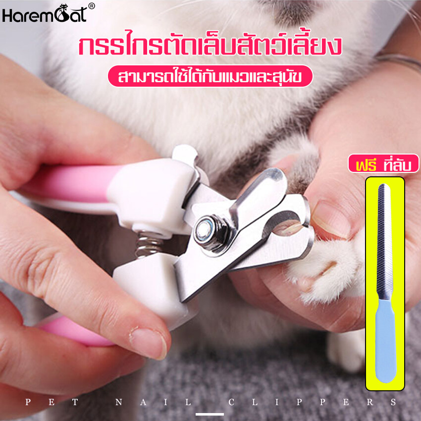 HAREMCAT สำหรับสุนัข แมว ทุกสายพันธุ์ อุปกรณ์ดูแลสัตว์เลี้ยง พร้อมตะไบ ปลอดภัย ใช้งานง่าย ที่ฝนเล็บ ปัตตาเลี่ยน ชุดกรรไกร มีปลายทาง ชุดกรรไกรตัดเล็บ สัตว์เลี้ยง อุปกรณ์ตัดเล็บ ที่ตัดเล็บหมาแมว คีมตัดเล็บ ที่ตัดเล็บ แบบปากคีม เครื่องตัดเล็บ