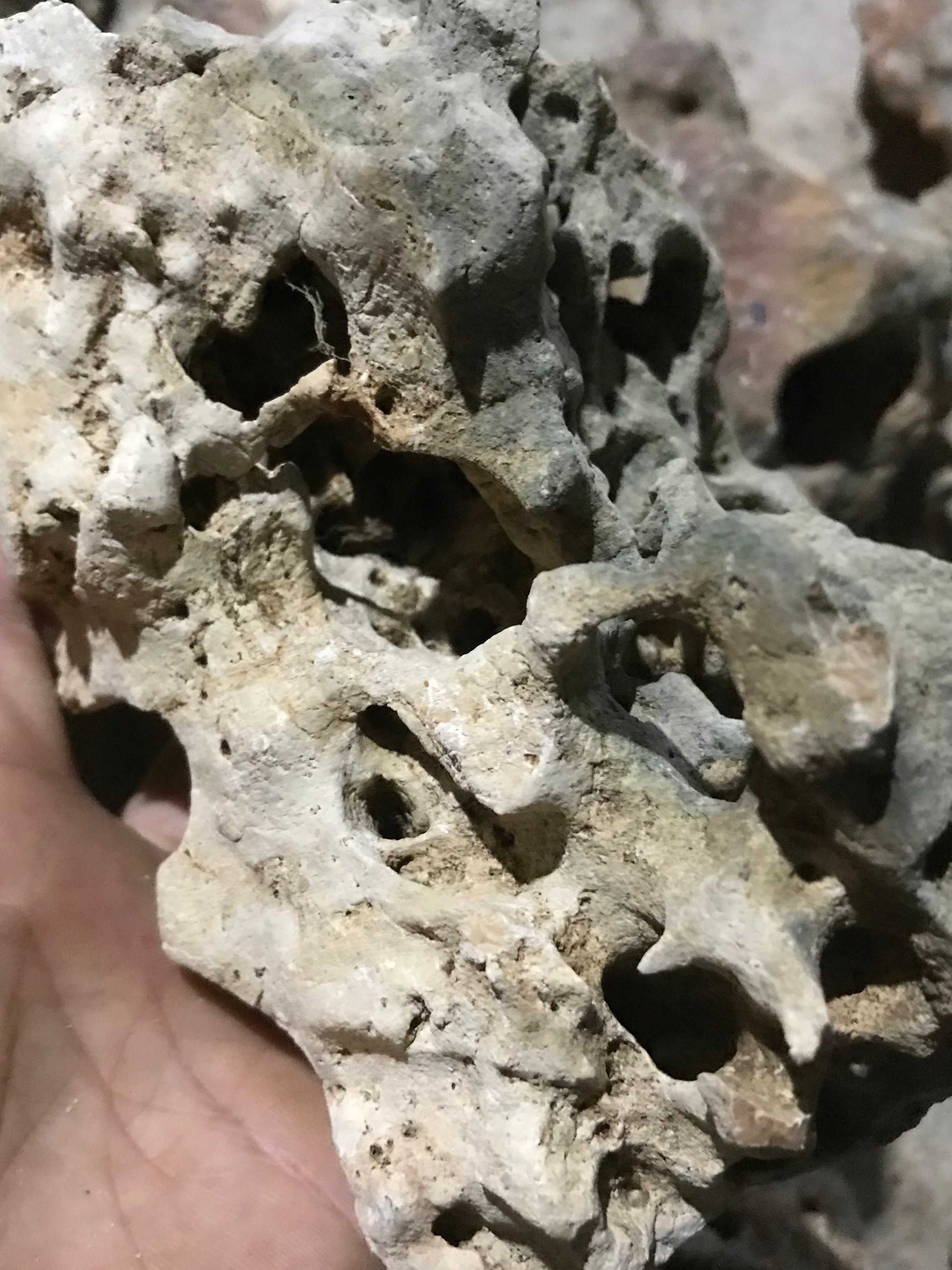 หินประดับตู้ปลาหินรูหินจัดสวนถาดหินปลูกบอนไซนำ้หนัก1-2kgต่อ1ก้อนหินรูพรุนหินธรรมชาติGarden stone