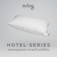 Hotel Series Tradition 19x29 in หมอนหนุน หลับสบาย ได้ระดับต่อเนื่องตลอดการนอน