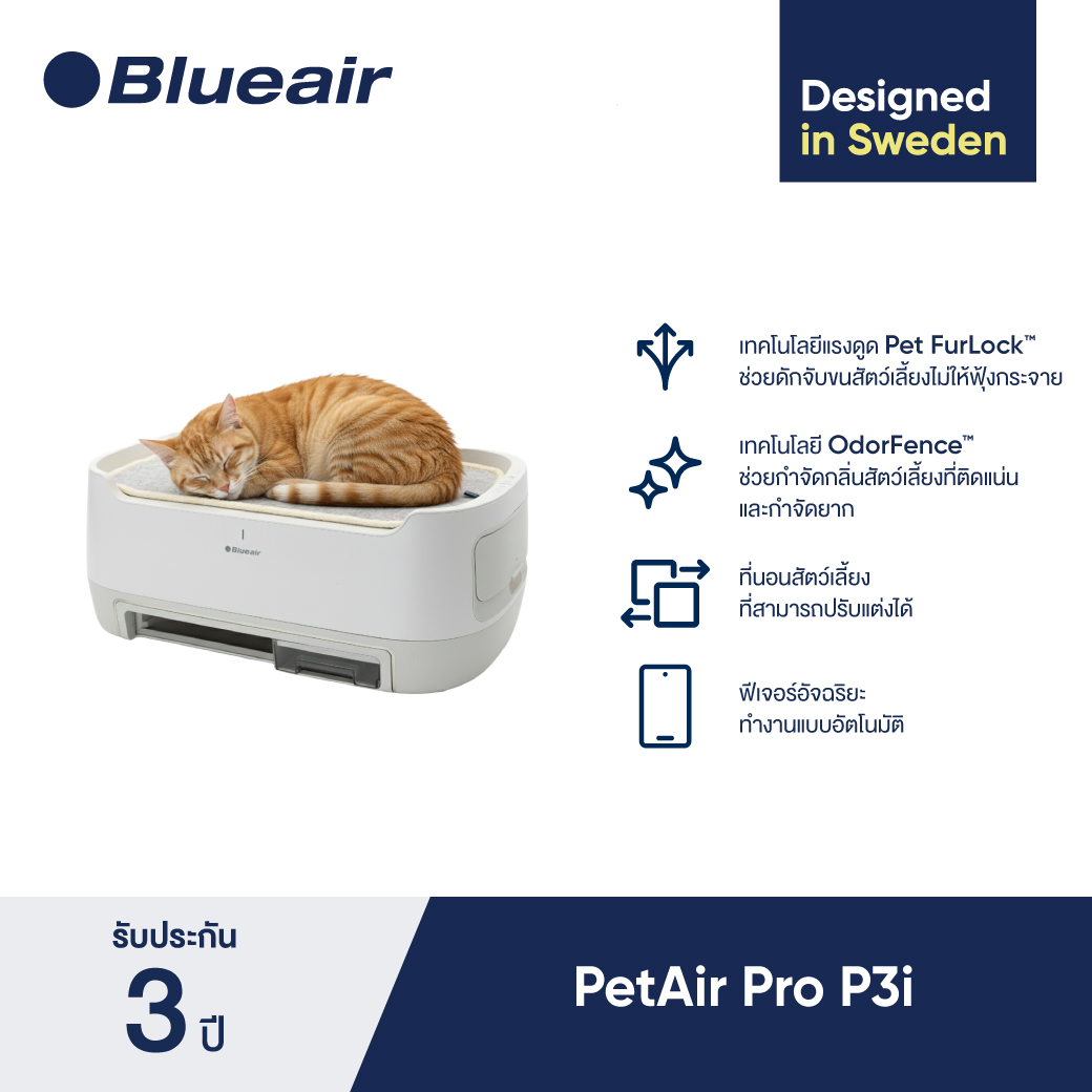 รีวิว Blueair Petair Pro P3I: เครื่องฟอกอากาศสำหรับพื้นที่ขนาดใหญ่ ตัวช่วยดูแลคุณภาพอากาศในบ้าน