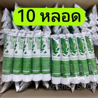 D.dent ยาสีฟันดีเดนท์ 10 หลอด (ยกแพ็ค) ทำความสะอาดช่องปาก ฟันขาว คราบหินปูน ลมหายใจหอมสดชื่น