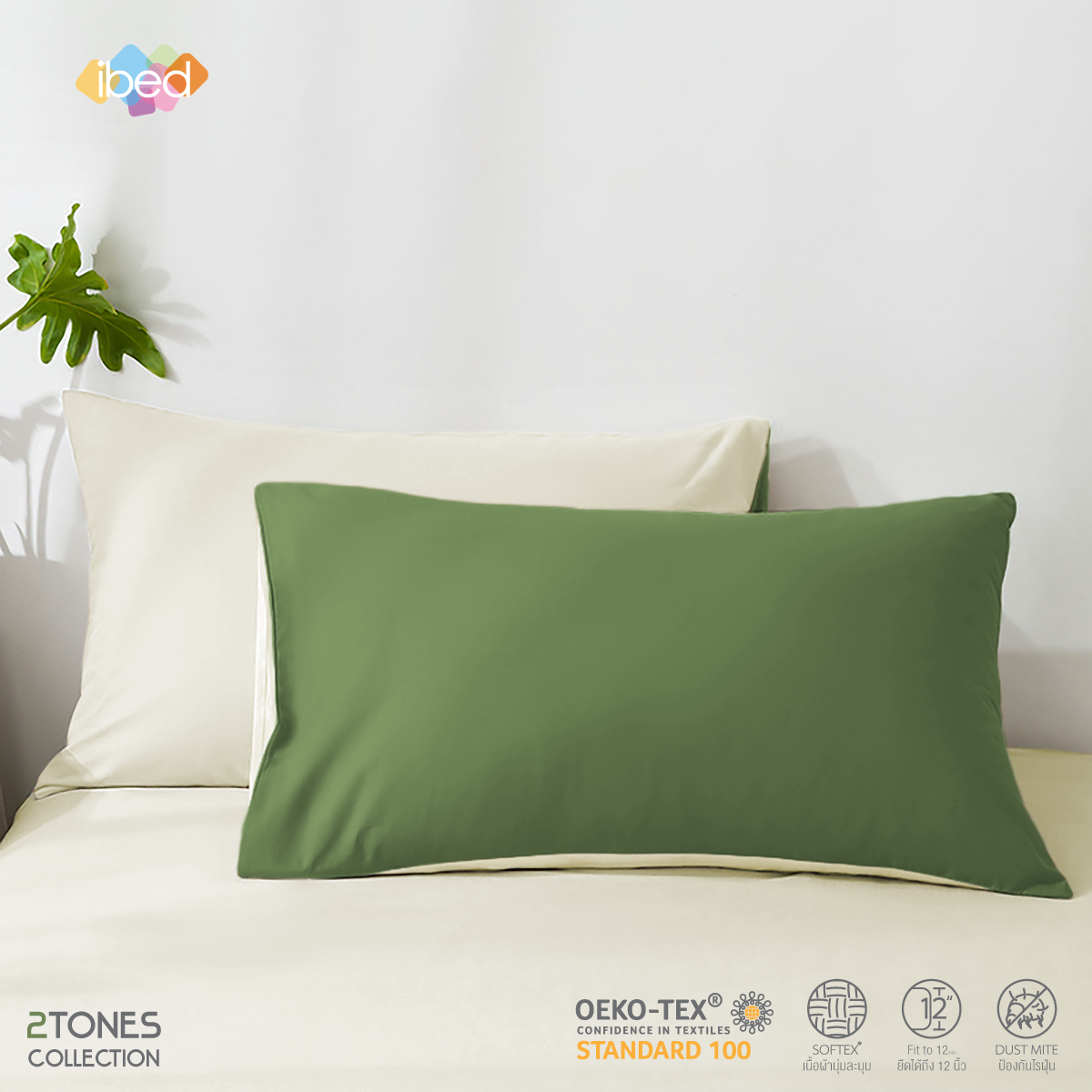[เหลือ150บ.] ibed ปลอกหมอน 2tones ป้องกันไรฝุ่น สัมผัสนุ่มลื่น ระบายอากาศได้ดี ไซส์มาตฐาน ราคา 150 บาท*ส่งฟรี
