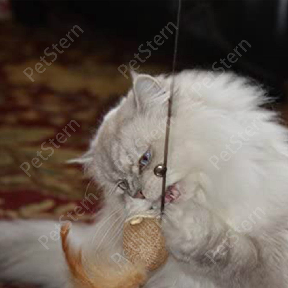 ?PetStern?ไม้ล่อแมว ของเล่นแมว แท่งแมวตลก Cat Teaser