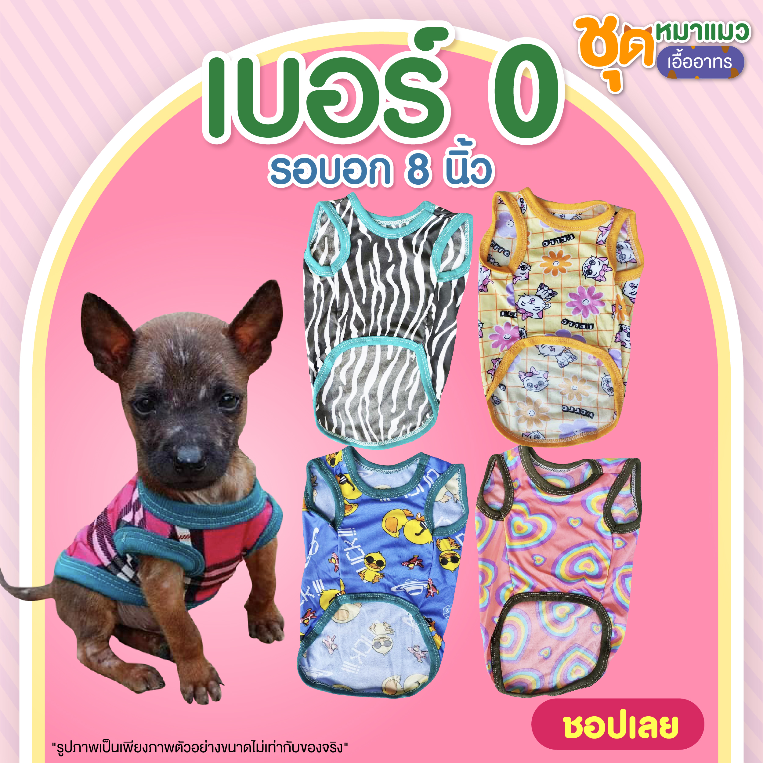 เบอร์ 0 ชุดหมาชุดแมว รอบอก 8 นิ้ว